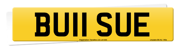 Registration number BU11 SUE